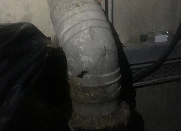 Basement Sewage Clean